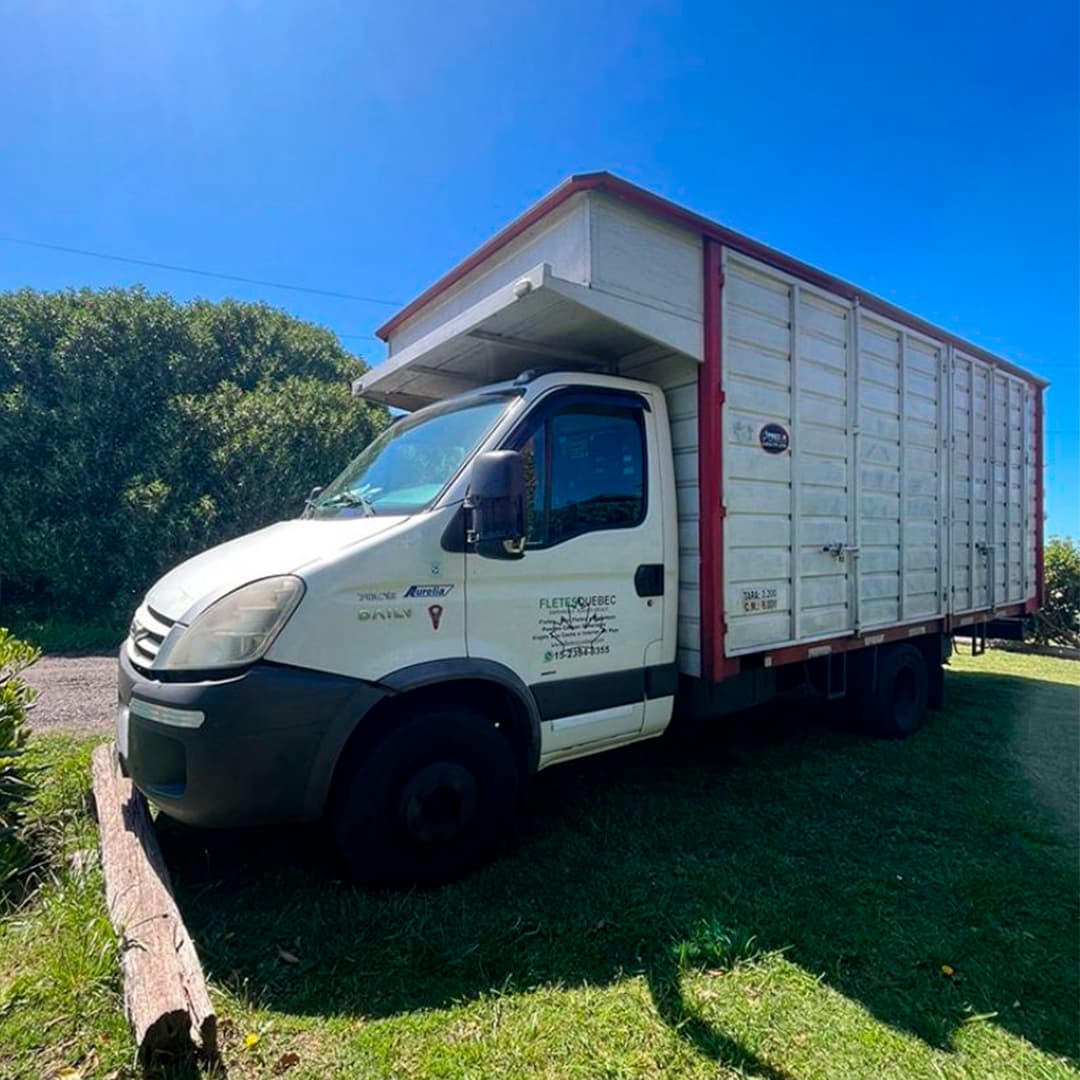 Equipo de mudanza trabajando con cajas